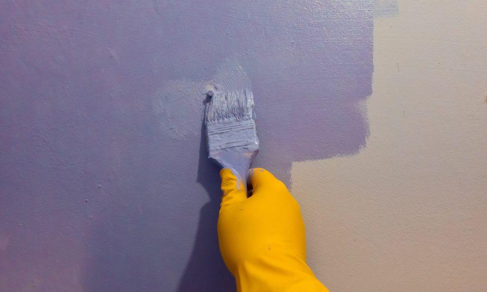 Insurance Coverage for Painter Contractors